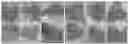 Fig. 01 - FEED ADDITIVE AND APPLICATION THEREOF