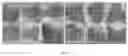 Fig. 02 - FEED ADDITIVE AND APPLICATION THEREOF