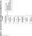 Fig. 02 - Method of preparation of baby formula