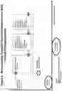 Fig. 07 - Method of preparation of baby formula