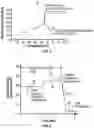 Fig. 03 - SYSTEM AND PROCESS FOR SOUS VIDE COOKING AND ENZYME TENDERIZATION