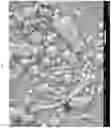 Fig. 08 - Micro encapsulation using high-voltage, low-current, high frequency alternating-current spray atomization