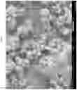 Fig. 09 - Micro encapsulation using high-voltage, low-current, high frequency alternating-current spray atomization