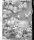 Fig. 10 - Micro encapsulation using high-voltage, low-current, high frequency alternating-current spray atomization