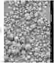 Fig. 11 - Micro encapsulation using high-voltage, low-current, high frequency alternating-current spray atomization