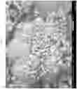 Fig. 12 - Micro encapsulation using high-voltage, low-current, high frequency alternating-current spray atomization