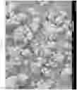Fig. 13 - Micro encapsulation using high-voltage, low-current, high frequency alternating-current spray atomization