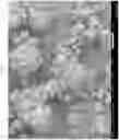 Fig. 14 - Micro encapsulation using high-voltage, low-current, high frequency alternating-current spray atomization