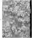 Fig. 16 - Micro encapsulation using high-voltage, low-current, high frequency alternating-current spray atomization