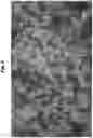Fig. 05 - NOVEL MICROALGAL FOOD COMPOSITIONS