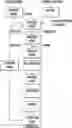 Fig. 01 - Method and system for producing of reconstituted vegetable films