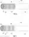 Fig. 06 - Heat conducting substrate for electrically heated aerosol delivery device