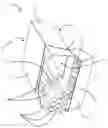 Fig. 32 - Smoking Substitute Consumable