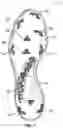 Fig. 09 - Sole structure with overmolded cleats