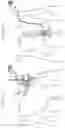 Fig. 110 - APPARATUS FOR CONTROLLING FLOW IN A BODILY ORGAN