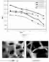 Fig. 02 - METHODS OF TREATING DEGENERATIVE BONE CONDITIONS