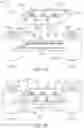 Fig. 07 - Devices, systems and methods for distraction osteogenesis