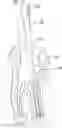 Fig. 01 - Laser Emitting Orthodontic Assembly