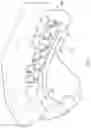 Fig. 02 - Method and apparatus for positioning a dental bracket element