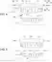 Fig. 03 - Fiducial markers for analyzing human jaws