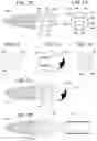 Fig. 28 - Fiducial markers for analyzing human jaws