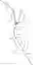 Fig. 01 - Systems and methods for transcatheter aortic valve treatment