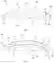 Fig. 03 - ARTIFICIAL CORNEA