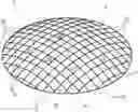 Fig. 01 - Corneal implant