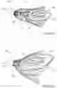 Fig. 50 - Delivery and retrieval devices and methods for side-deliverable transcatheter prosthetic valves