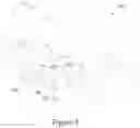 Fig. 07 - NASAL COMPRESSION DEVICE