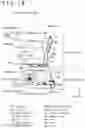 Fig. 02 - WALKING ASSIST CHAIR