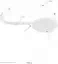 Fig. 02 - Systems, apparatus, and methods for placing a guidewire for a gastrostomy tube
