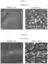 Fig. 07 - Agent For Conditioning Dentin And Enamel