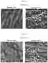 Fig. 09 - Agent For Conditioning Dentin And Enamel
