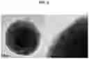 Fig. 06 - Method for manufacturing porous inorganic particle and light-reflecting composition comprising porous inorganic particle