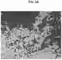 Fig. 07 - Method for manufacturing porous inorganic particle and light-reflecting composition comprising porous inorganic particle