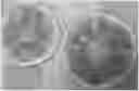 Fig. 01 - MASK SUBSTRATE AND KIT INCLUDING THE SAME