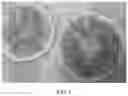 Fig. 06 - MASK SUBSTRATE AND KIT INCLUDING THE SAME
