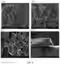 Fig. 09 - MASK SUBSTRATE AND KIT INCLUDING THE SAME
