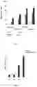 Fig. 03 - NANOPARTICLES WITH NON-COVALENTLY BOUND TARGETING MOIETIES FOR USE IN A THERAPEUTIC METHOD AND FOR NON-MEDICAL USE