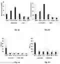 Fig. 04 - NANOPARTICLES WITH NON-COVALENTLY BOUND TARGETING MOIETIES FOR USE IN A THERAPEUTIC METHOD AND FOR NON-MEDICAL USE