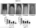 Fig. 04 - COMPOSITIONS AND METHODS FOR PREVENTING AND/OR REDUCING ISCHEMIA AFTER SURGICAL INCISIONS