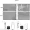 Fig. 08 - COMPOSITIONS AND METHODS FOR PREVENTING AND/OR REDUCING ISCHEMIA AFTER SURGICAL INCISIONS