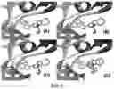 Fig. 08 - Use of manzamines as antiproliferative agent