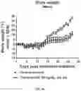 Fig. 07 - Methods for Treating Cancer Using Pyrimidine and Pyridine Compounds with BTK Inhibitory Activity