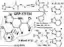 Fig. 01 - Inhibitors of RSV replication and applications thereof