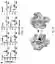 Fig. 07 - Inhibitors of RSV replication and applications thereof