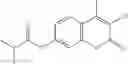 Fig. 40 - Inhibitors of RSV replication and applications thereof