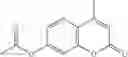 Fig. 44 - Inhibitors of RSV replication and applications thereof