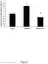 Fig. 04 - Methods of treating eye diseases associated with inflammation and vascular proliferation